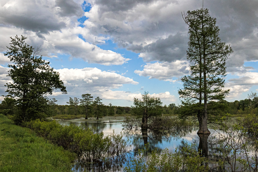 Canon EOS 7D Mark II - EF16-35mm f/4L IS USM @ 16 mm - 1/1000 Sek. bei f / 14 - ISO 800